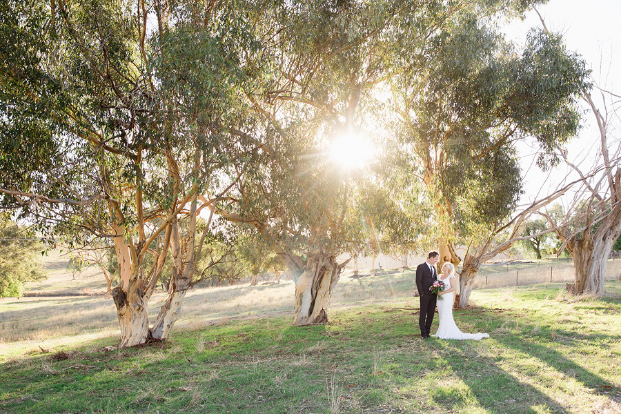 Splitters-creek-winery-wedding-1071 