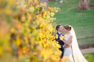 bride-and-groom-amongst-the-autumn-vines-in-porepunkah
